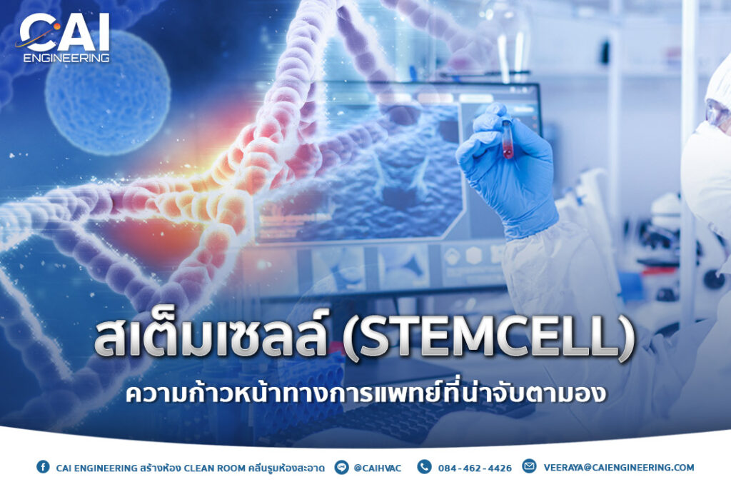 สเต็มเซลล์ (Stemcell) ความก้าวหน้าทางการแพทย์ที่น่าจับตามอง